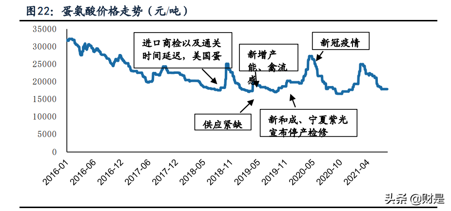 新和成专题报告：多平台、新项目 助力公司发展再上台阶