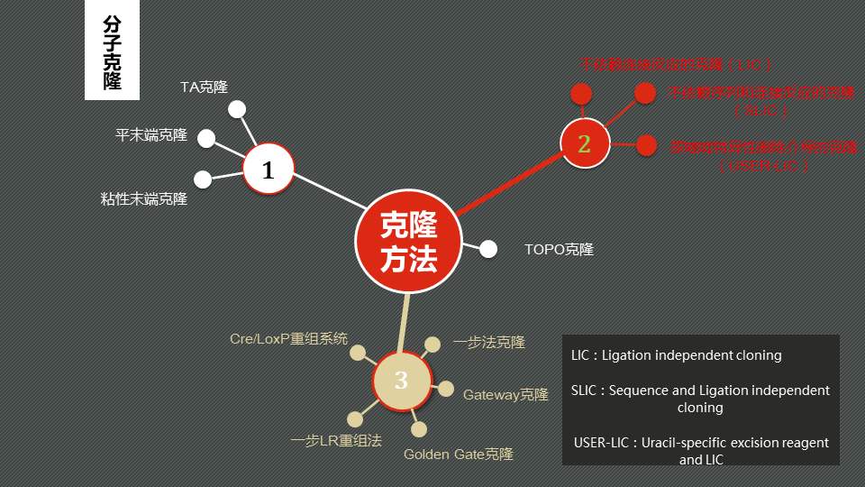 為何現在沒人再提起克隆技術了？看看克隆羊多莉的結局，就明白了