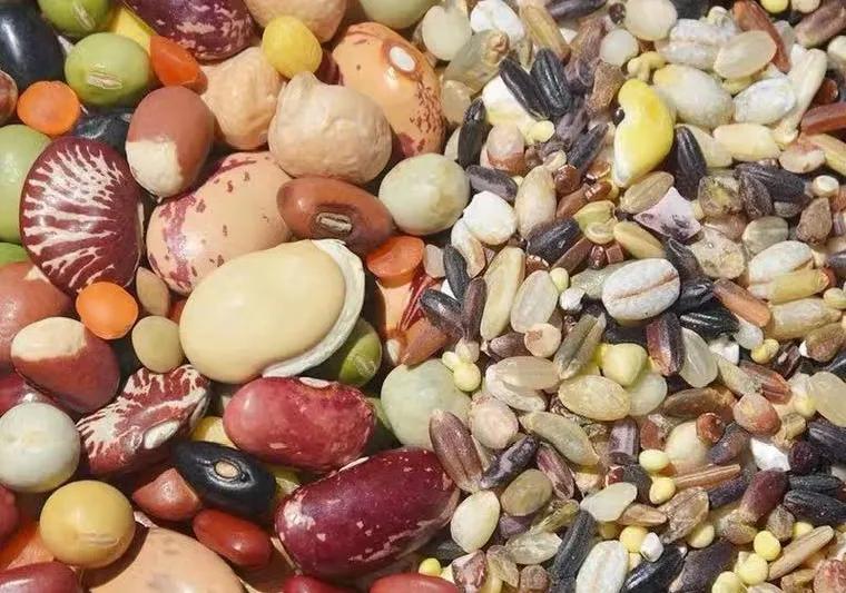 天生一對的飲食搭檔，一起吃好處翻倍！ 養五臟、護血管、強免疫、抗疾病，不妨試試