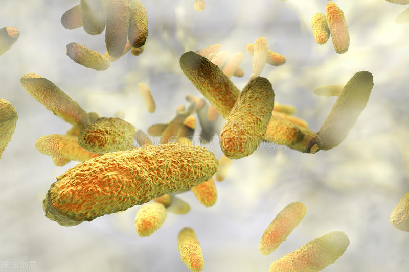 污水处理生物膜优点突出 2021年后应用需求不断提升