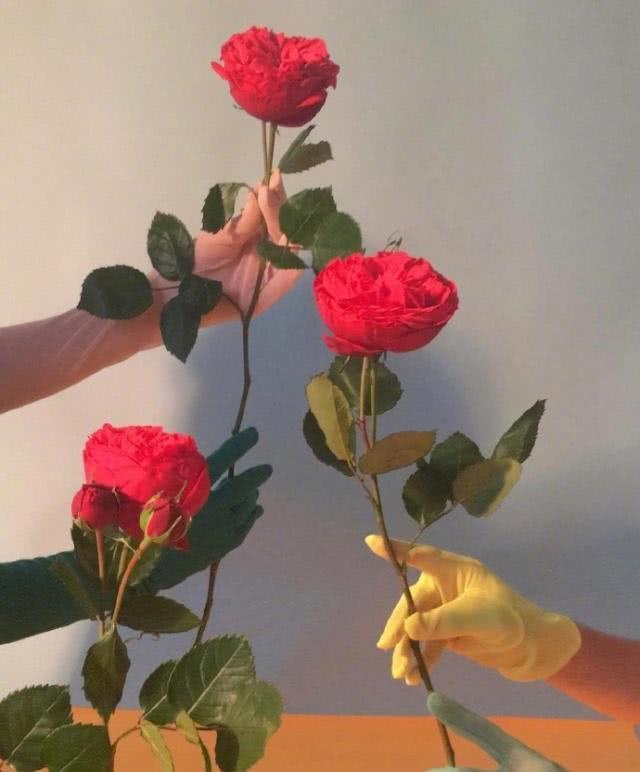 情人节爱情甜蜜经典语录，句句撩心，浪漫至极图片