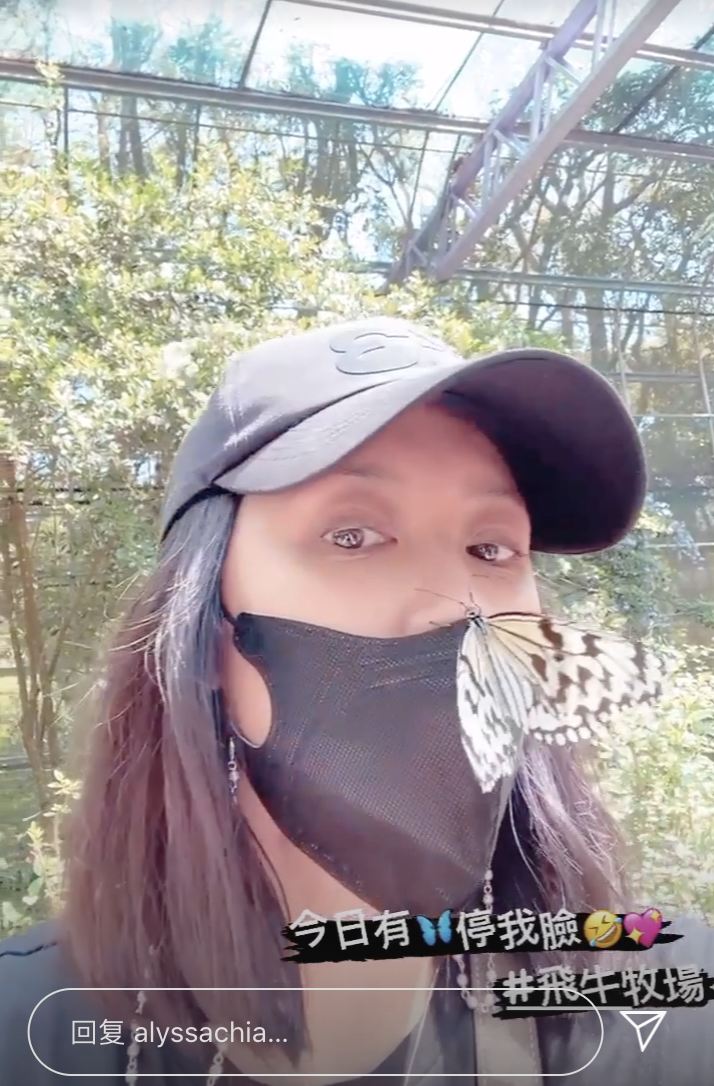 賈靜雯帶三個女兒牧場遊玩，梧桐妹雙手拎起咘咘波妞，姐姐力max
