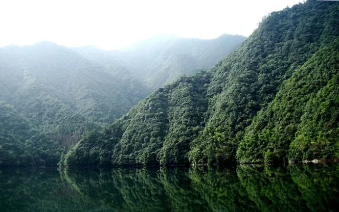 浙西的秘境山水打包送给你,这条自驾路线夏天去正好
