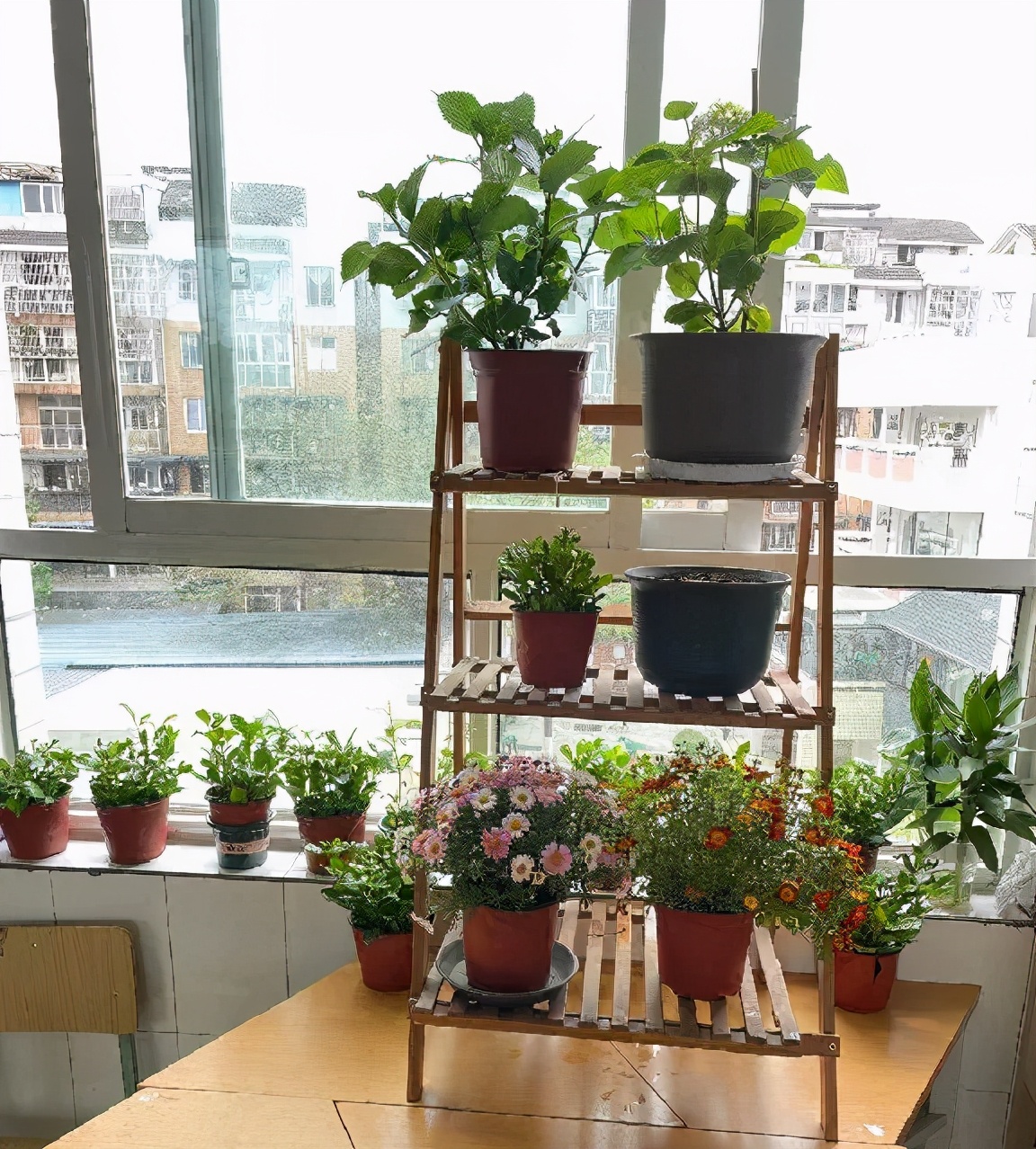 卫生是根本 运动是方式丨双流建校开展春季校园爱国卫生运动