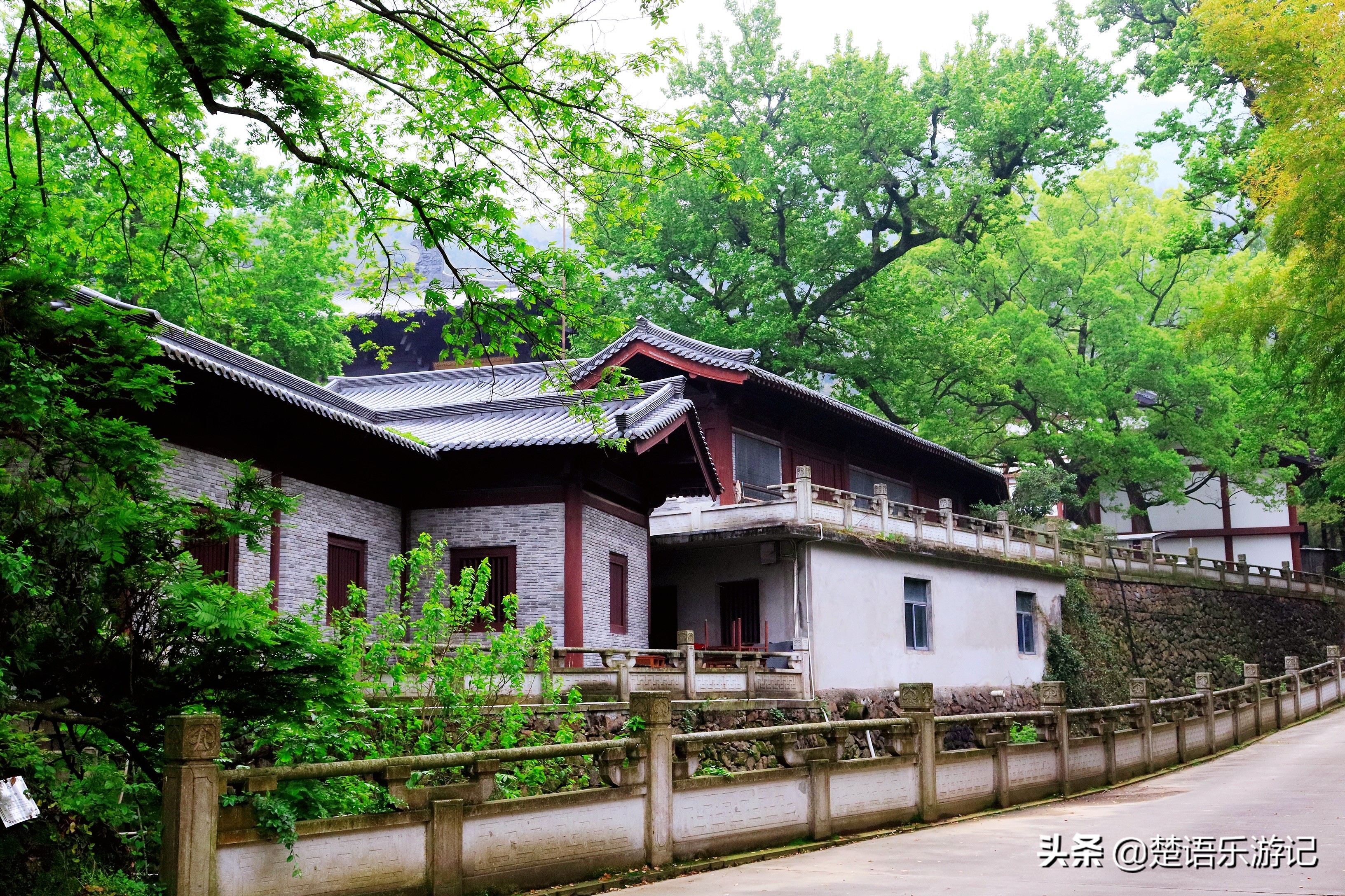 寧波金峨山下的千年名剎 風景原來這麼美 難怪有名人曾來此長住 楚語樂遊記 Mdeditor