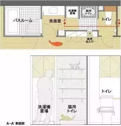 都说日本卫生间的设计很合理，那么比国内的卫生间好在哪里？