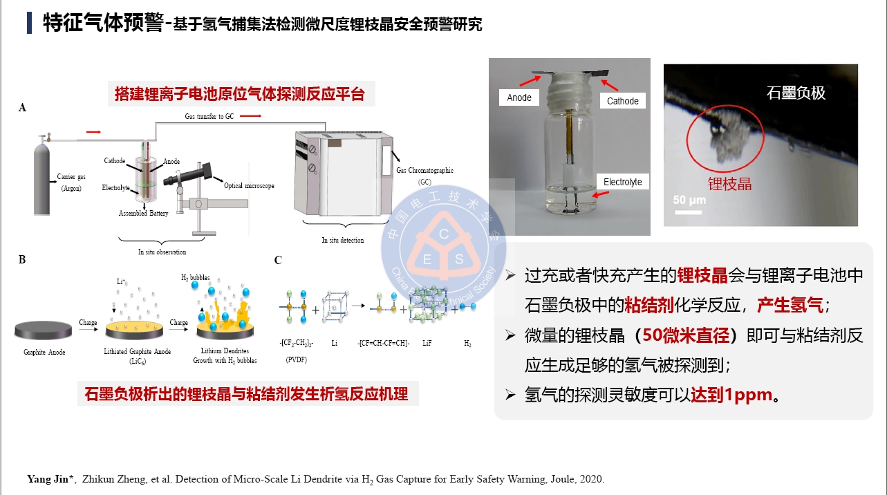 郑州大学金阳教授学术报告：锂电池储能电站的早期安全预警技术