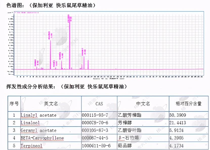 快乐鼠尾草精油的化学成分及功效研究 精油大百科 Mdeditor