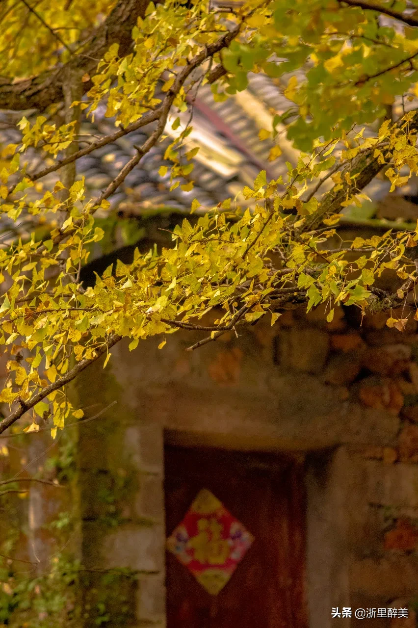 10 ancient towns with beautiful autumn colors, if you are tired, go to stay for a few days