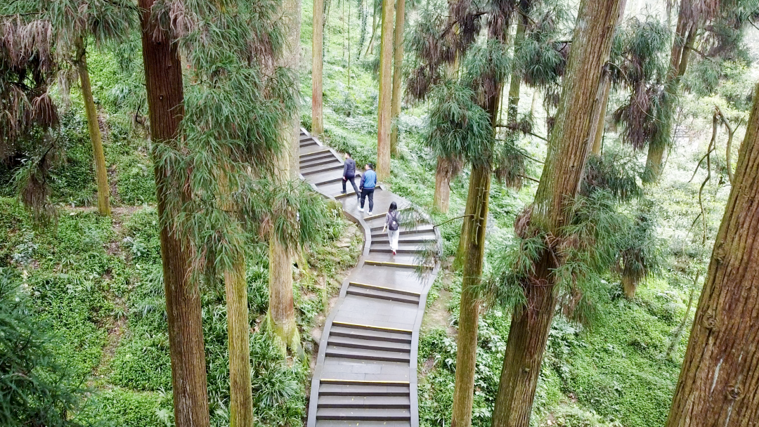 太驚豔 五一打卡剛剛好 1260米高空看青城山 都江堰 古堰春韻 連綿遠山 每一張都美成壁紙 青城山都江堰 Mdeditor