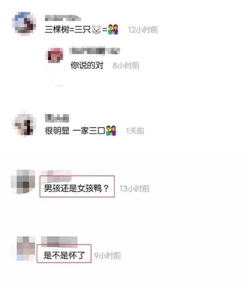 向佐发文称“新成员加入”，疑指郭碧婷怀孕，婆婆这态度耐人寻味