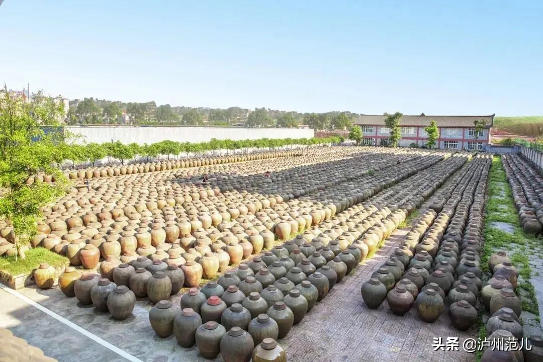 泸州这些菜品上榜省级美食候选名单 你吃过几道？