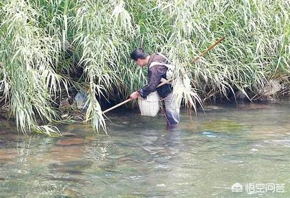 湖北销毁禁用渔具:钓鱼人背的这2个黑锅，终于可