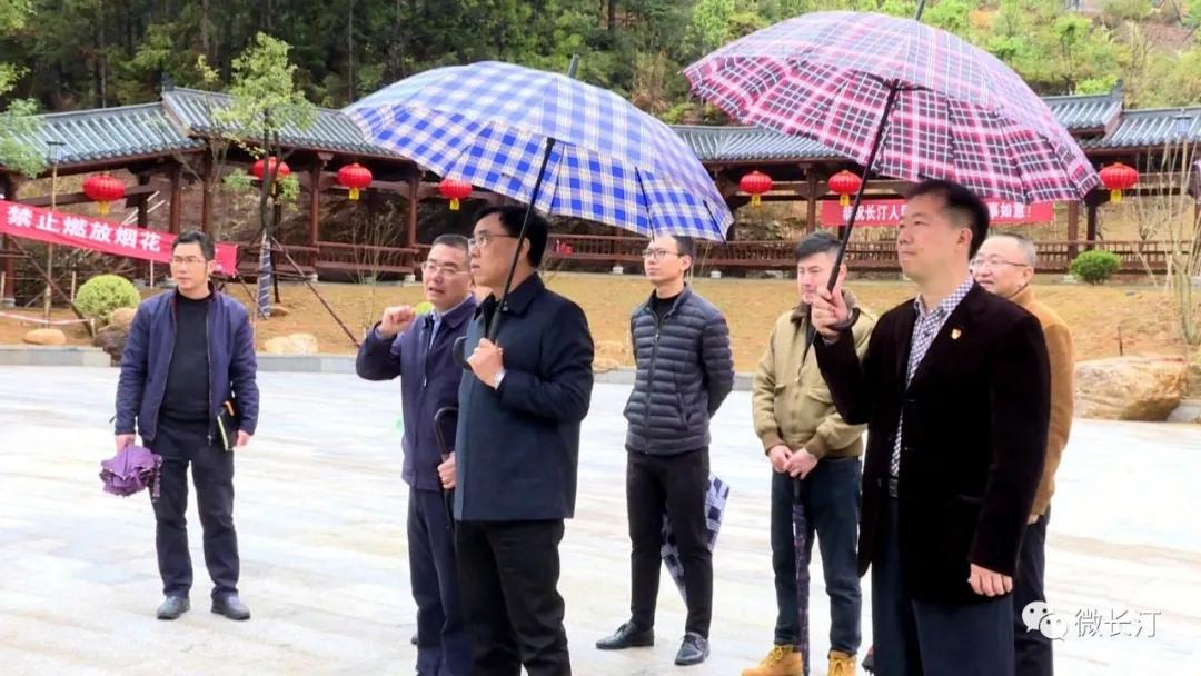 长汀县长马水清带队开展马兰山金融生态示范林项目调研