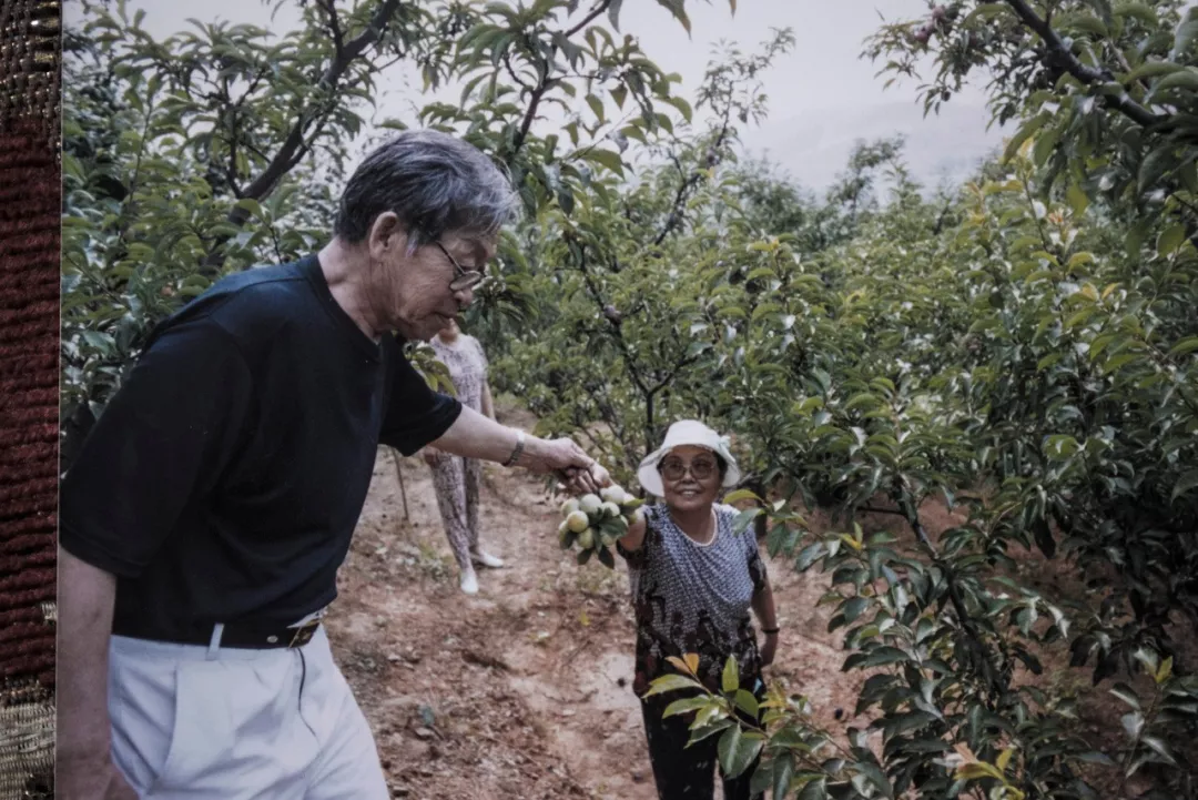 相愛80年：這溫情脈脈、不離不棄的愛，才最真實(shí)、最難得、最珍貴