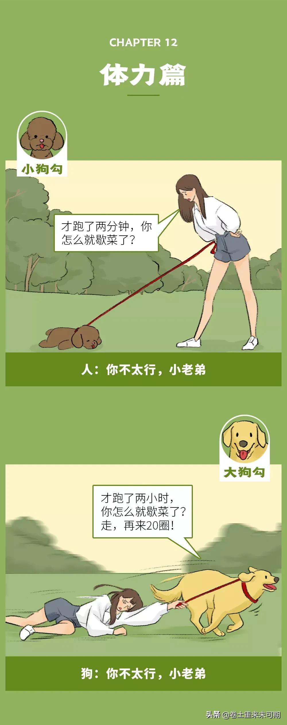 漫画：女生养大狗，对男朋友有什么坏处？