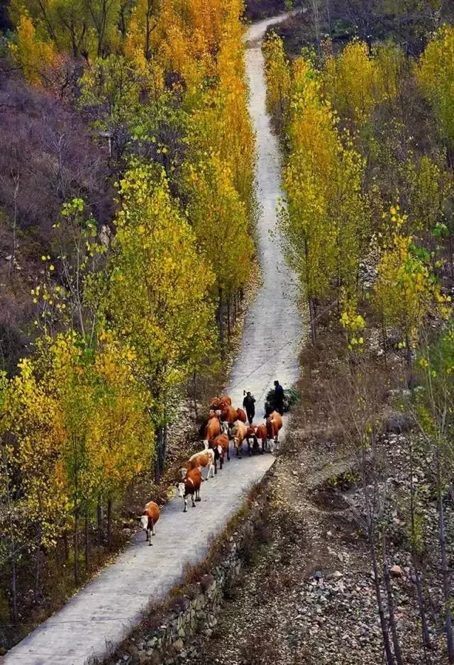 “金九银十”非热门自驾目的地出炉，个个惊艳，附探秘路线