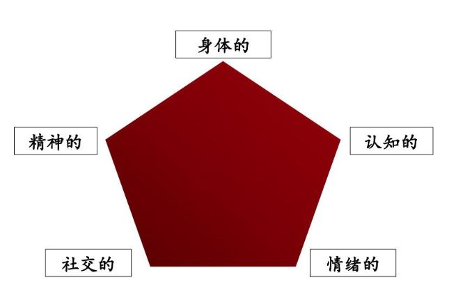 成长的5个底层逻辑