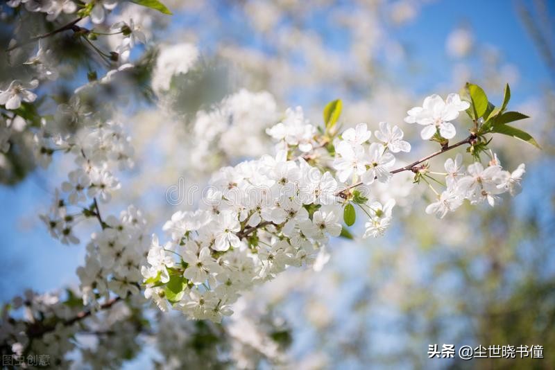 明朝大诗人高启一首经典的五绝，虽然只有短短几句，但是写得很美-第6张图片-非凡网