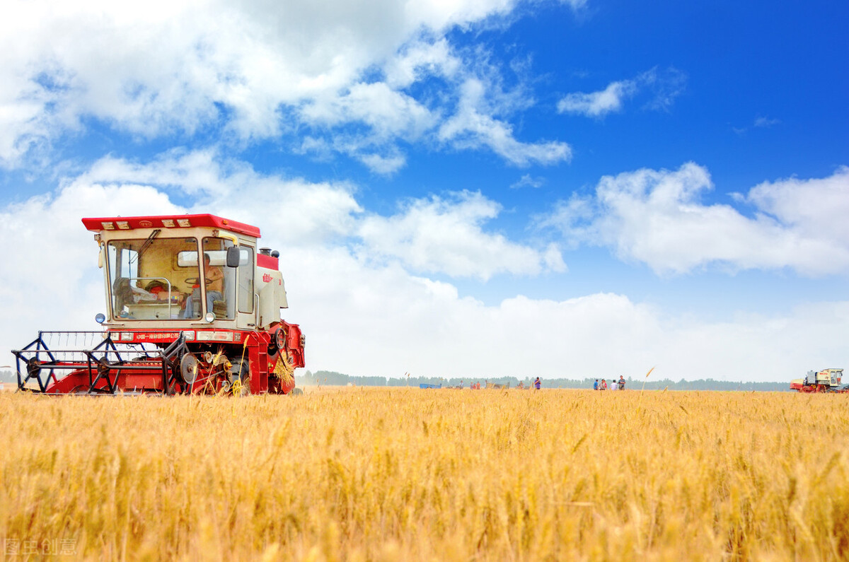 全球粮价连涨9月，创7年新高，抢粮大战激烈，中国人的饭碗稳吗