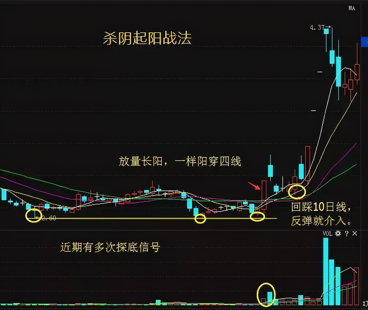 股市真正的强者：如果散户长期拿着股票不撒手，庄家会怎么办