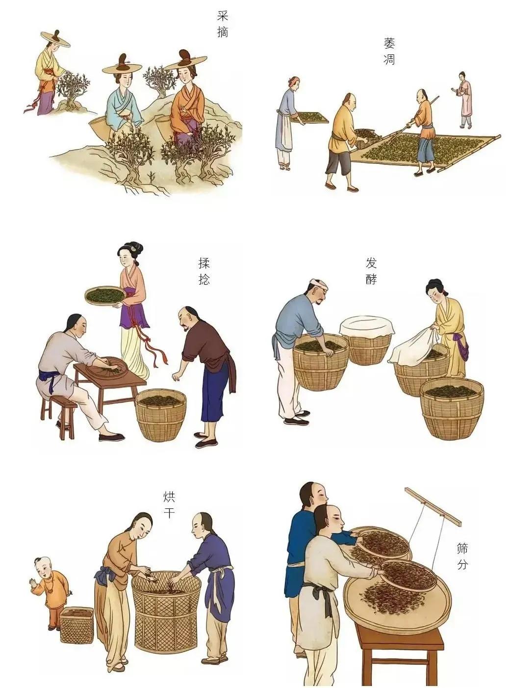 喝茶到底有益健康嗎？ 喝紅茶好，還是綠茶好？