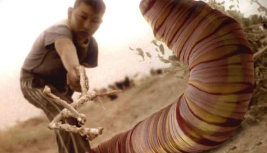 这十个世界未解之谜,愁坏了各国的科学家,至今无人能解!-第2张图片-大千世界