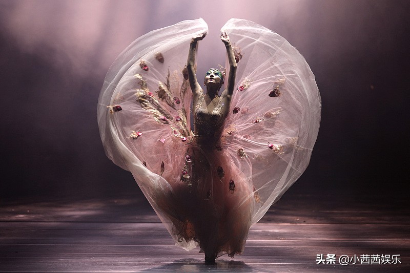 同样是不婚主义，杨丽萍被骂上热搜，56岁的她却