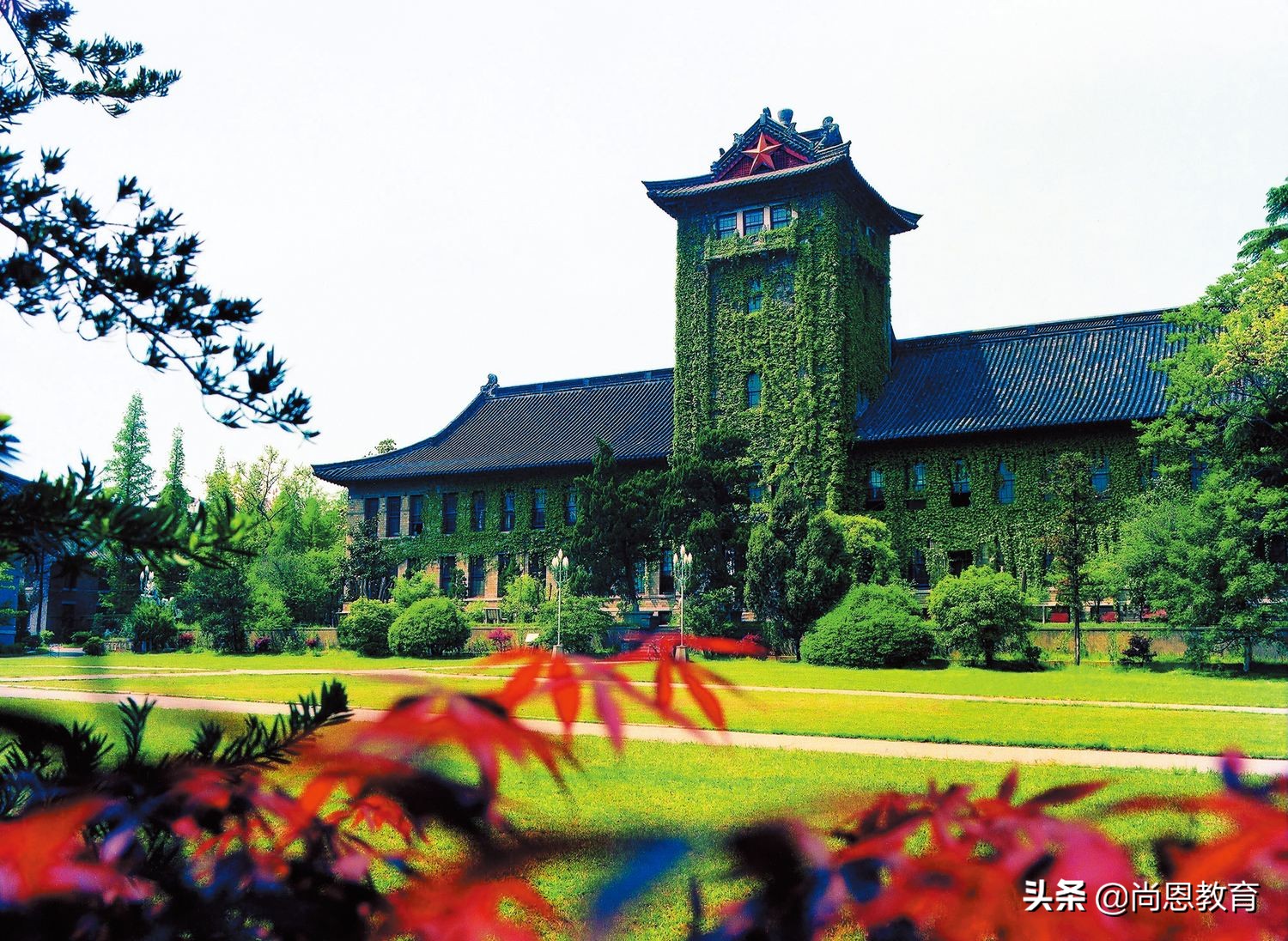 医药、财经、艺术、政法等到底学些什么？一文读懂高校类型及特点