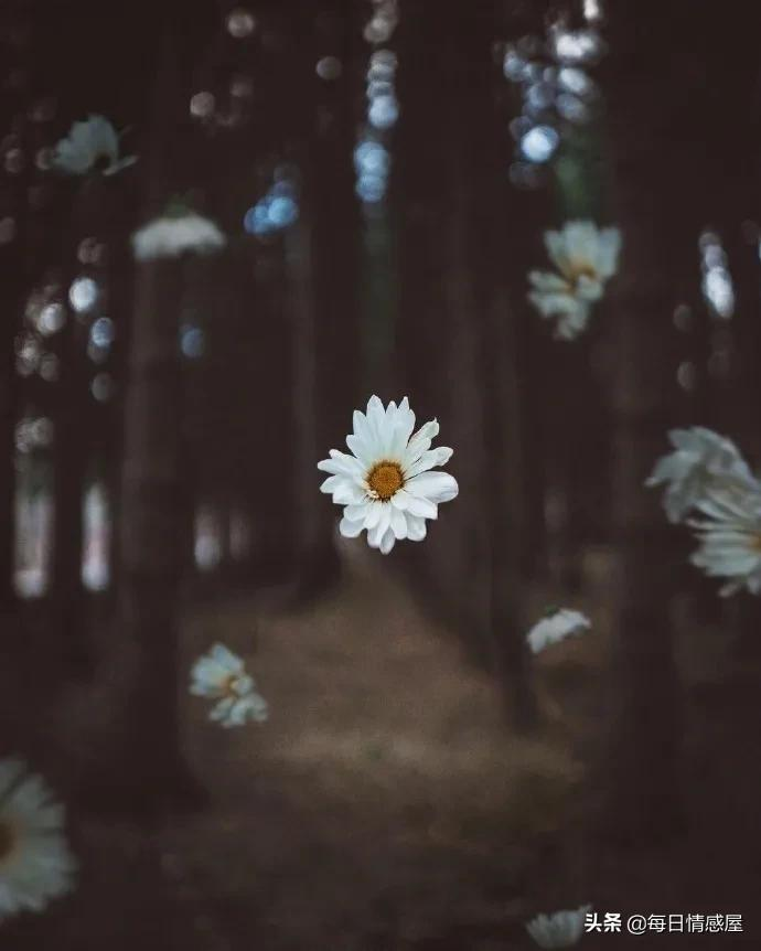 如阳光般励志的正能量句子