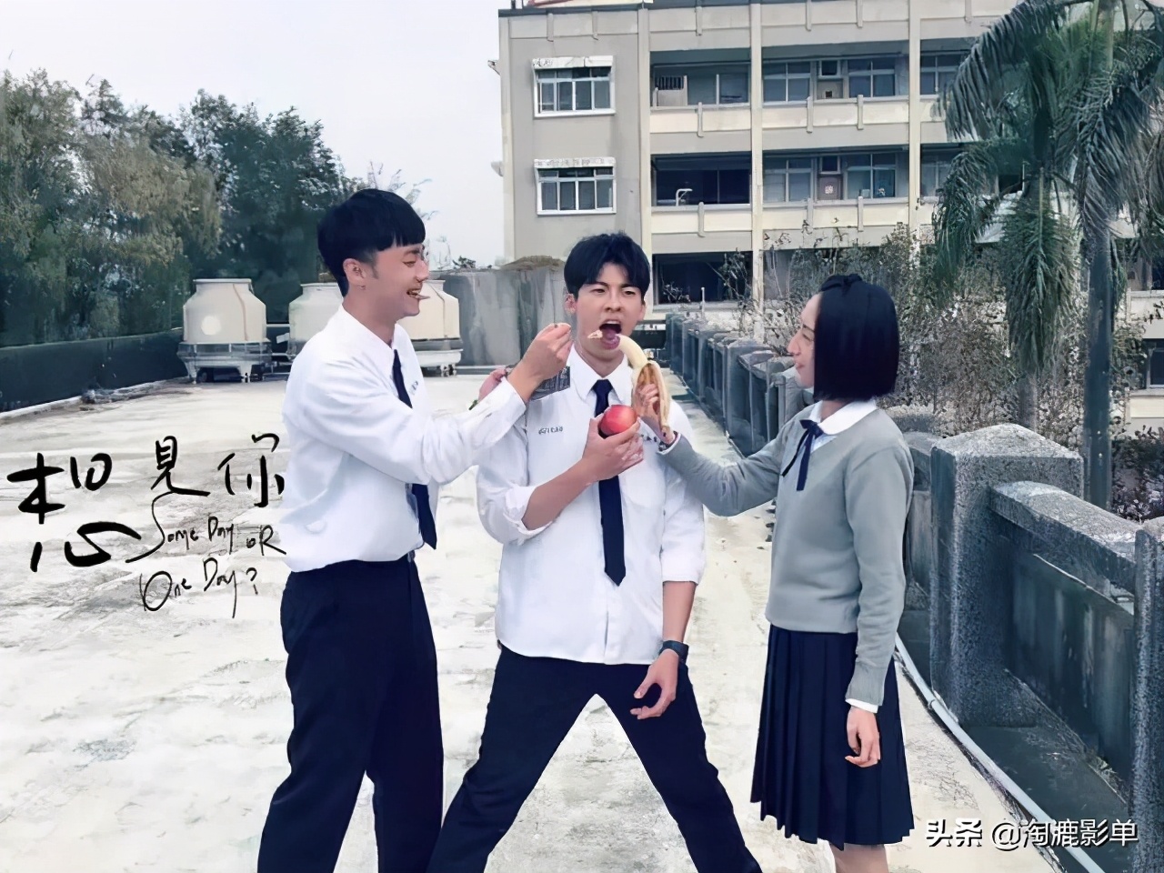 16部高分悬疑剧，这5年好看的国产悬疑剧都在这