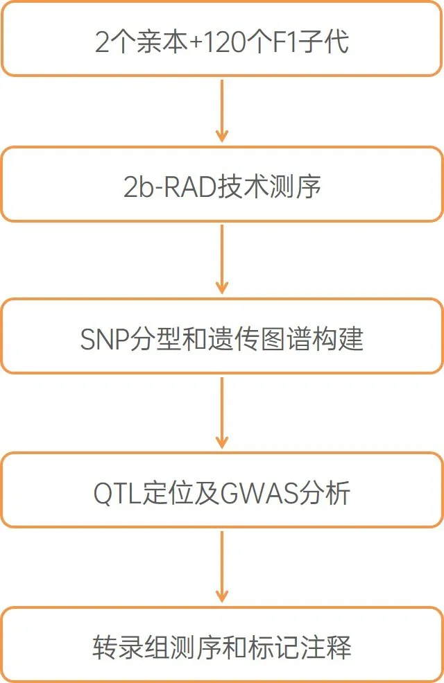 这条鱼，是雄性？是雌性？这是个问题