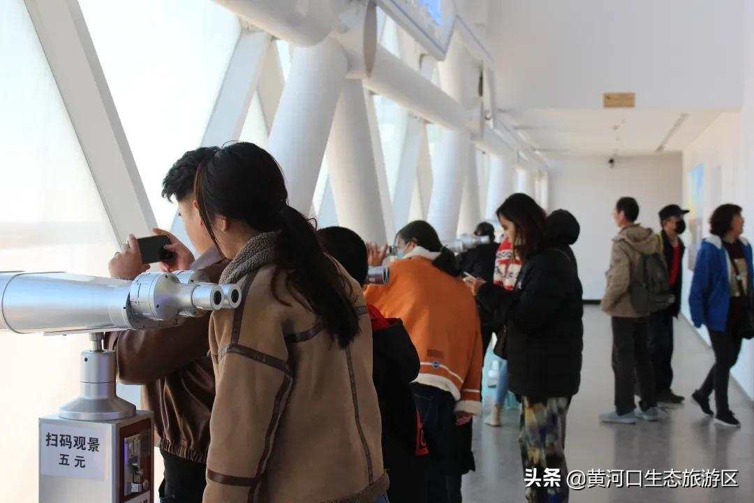 踏青正当时,莫负好春光