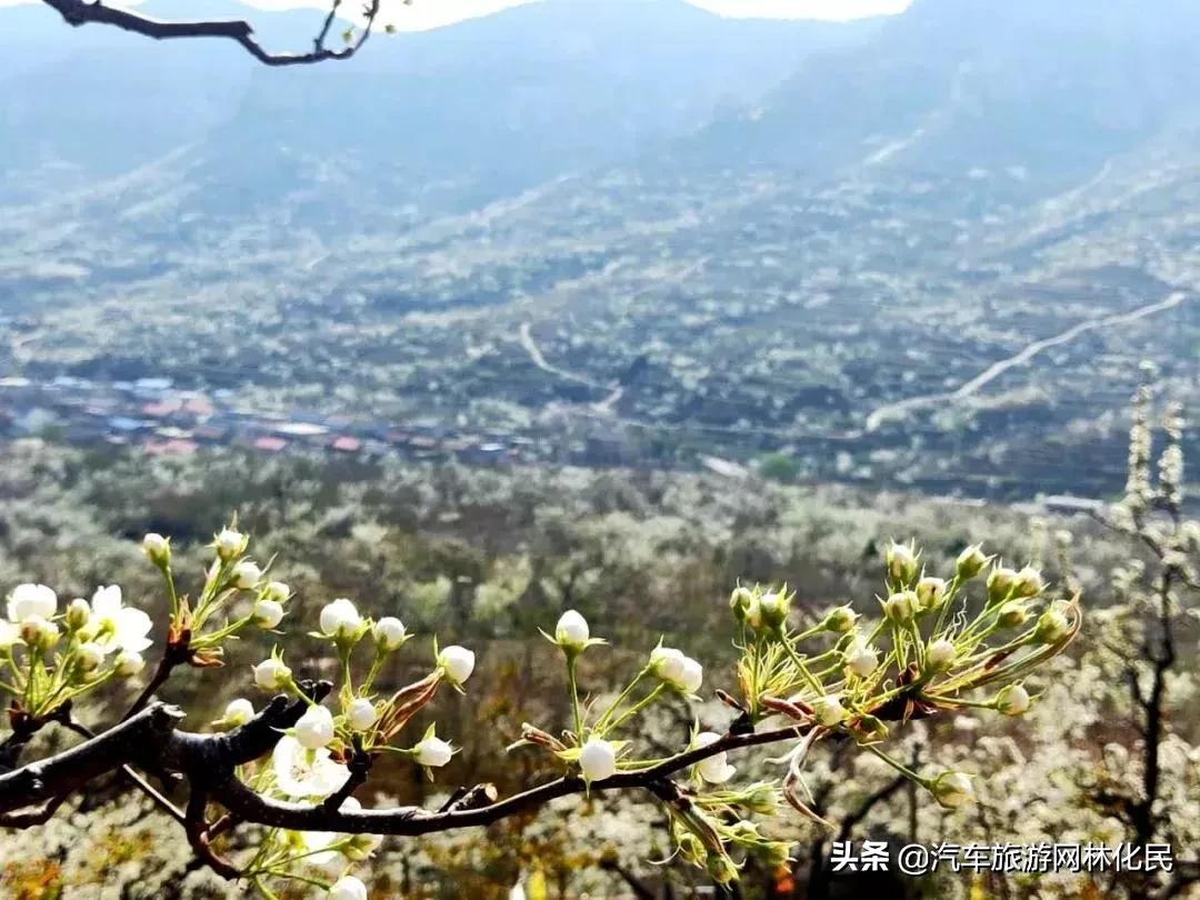 临沂人免费泡温泉游九间棚