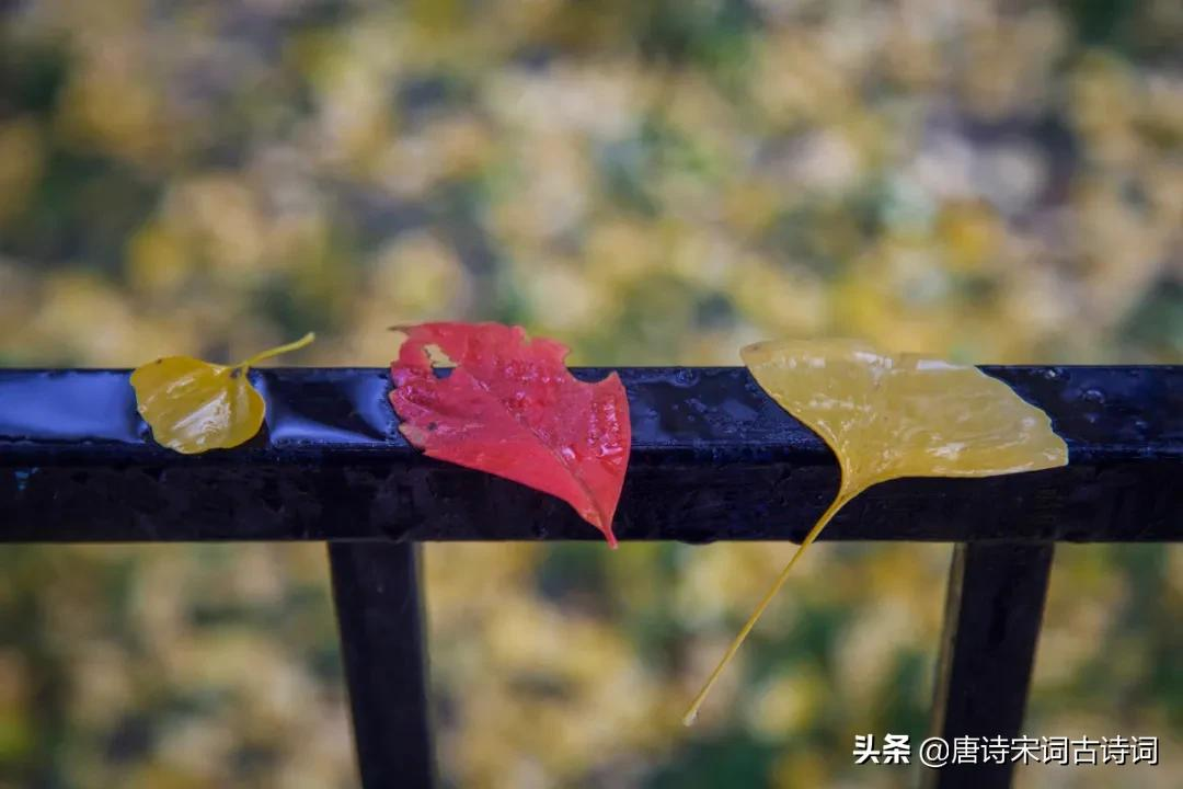 古诗词里的秋雨-第4张图片-非凡网 古诗词里的秋雨-第4张图片-非凡网