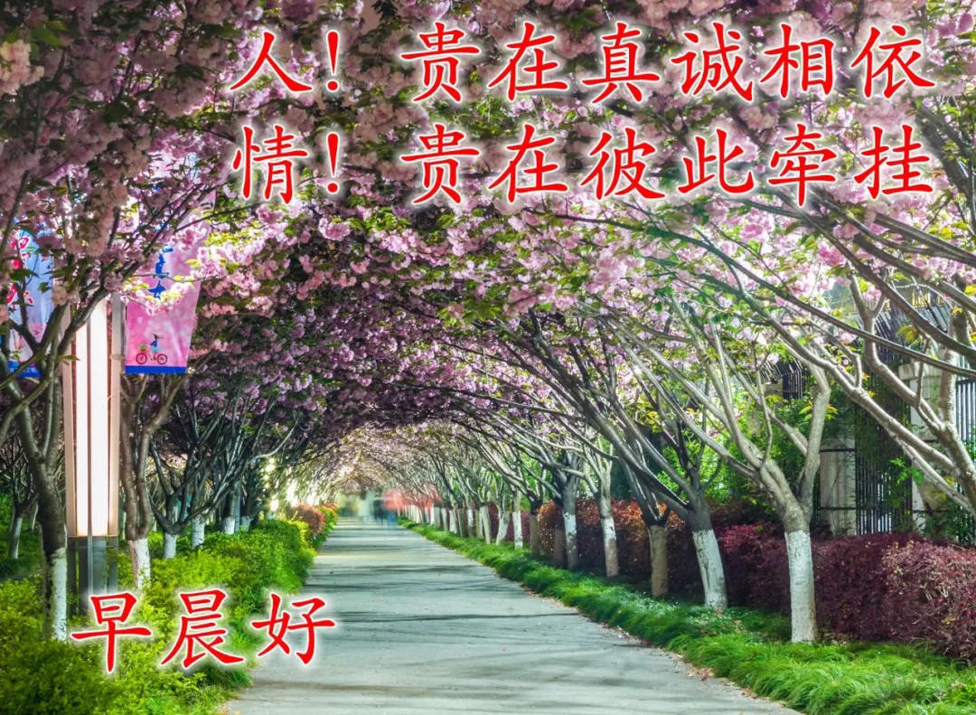 最新的早上问好祝福图片带字,最真诚的早安问候美图图片