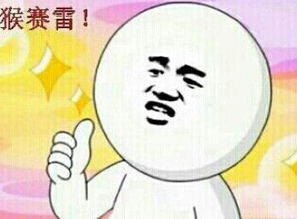 锦衣卫里唯一的好人，尽心照顾被俘皇帝，以德