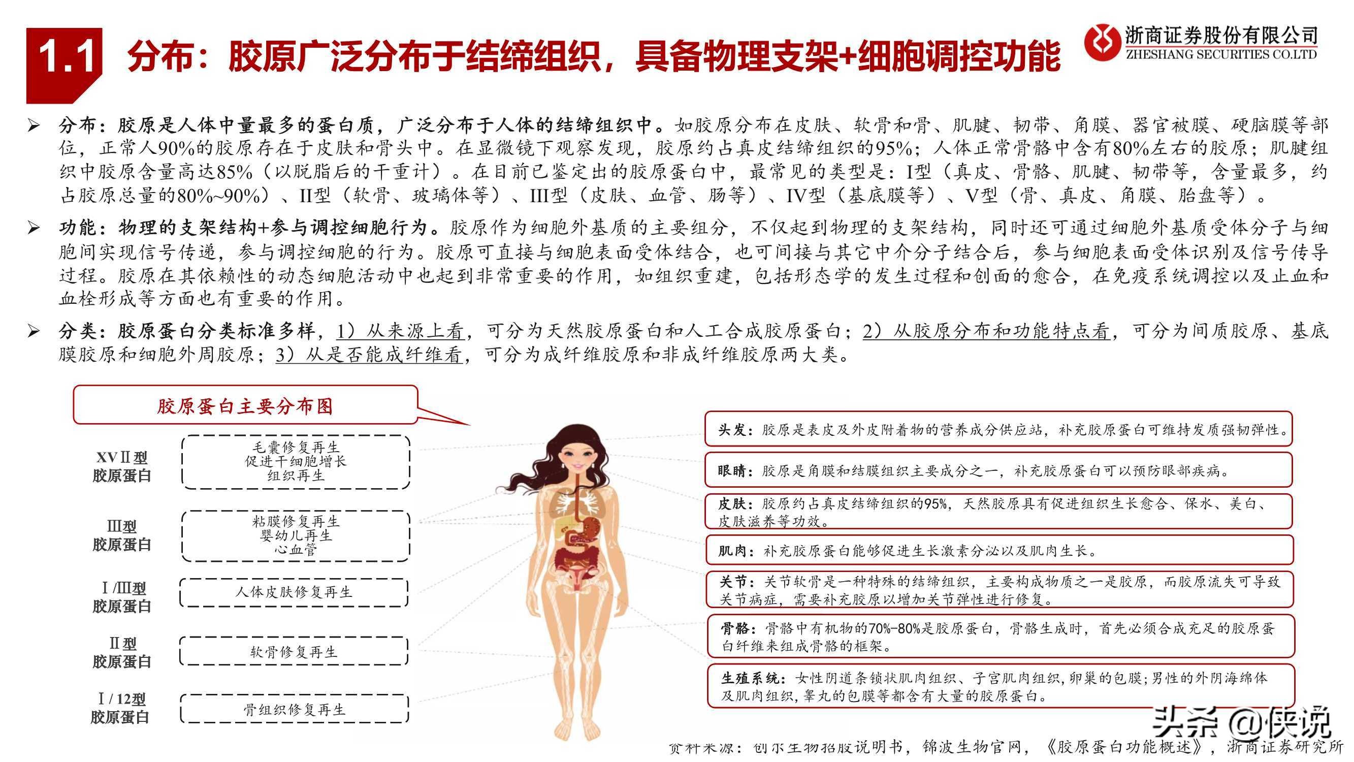 医药生物行业胶原蛋白：与玻尿酸并驾齐驱的掘金赛道（浙商证券）