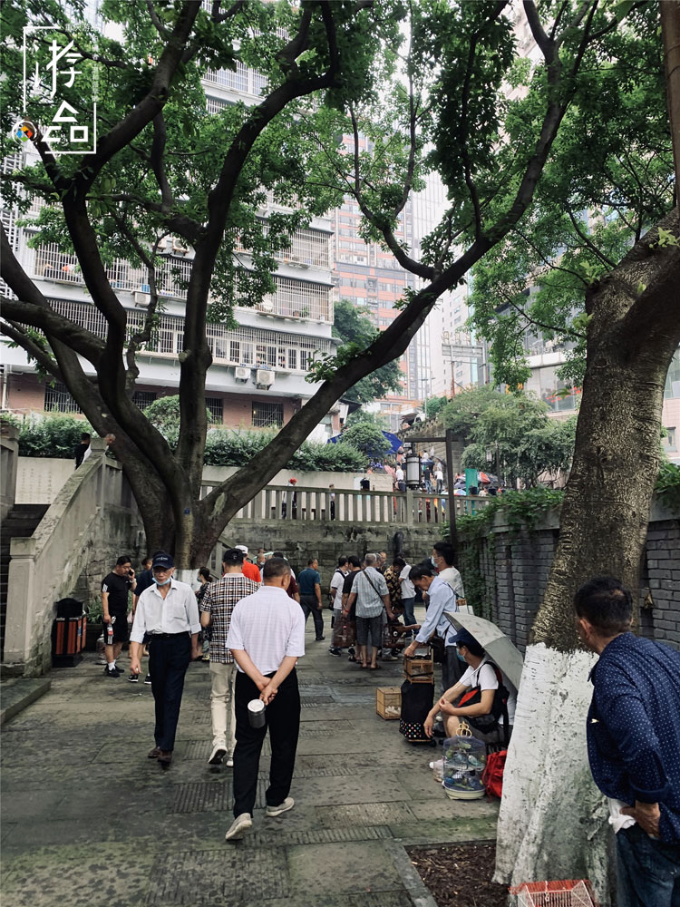 重庆话里的生僻字：“潽”出杯子的水，到处“羾”的小娃儿