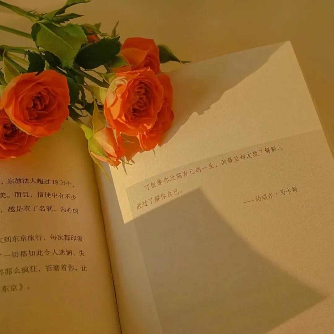 简短有格调的句子 适合发圈的精致句子图片