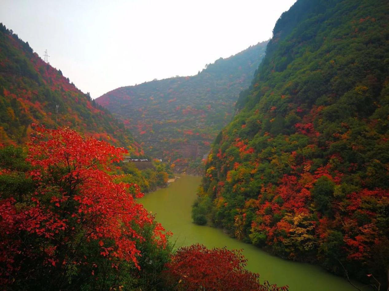 宝鸡周边赏秋景点图片