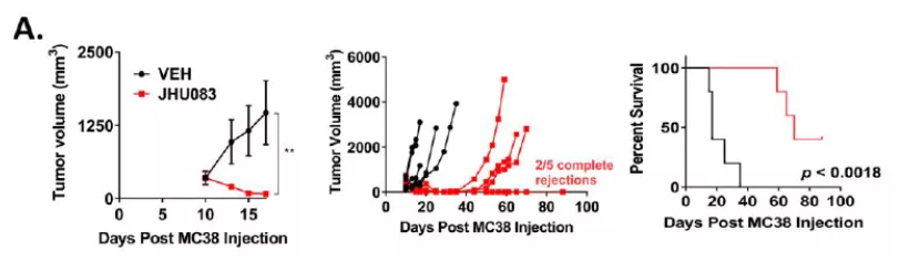 Ȩ���о�����ϸ��������Ѫ���������ڣ����Ƿ������ж������