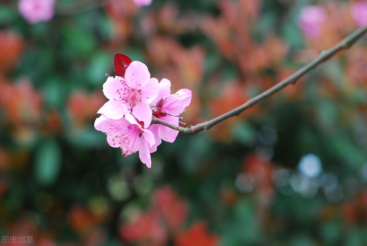 诗词故事：李白，桃花潭水深千尺，不及汪伦“骗”我情-第4张图片-非凡网
