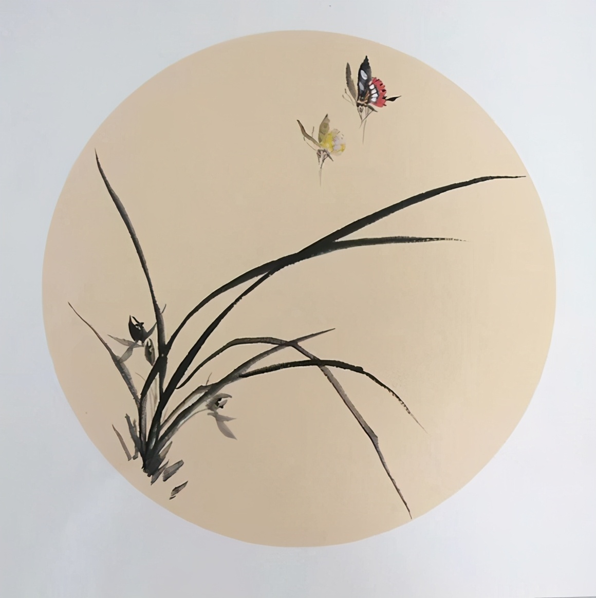 花鸟画家杨淑英作品 雅俗共赏 妙趣横生