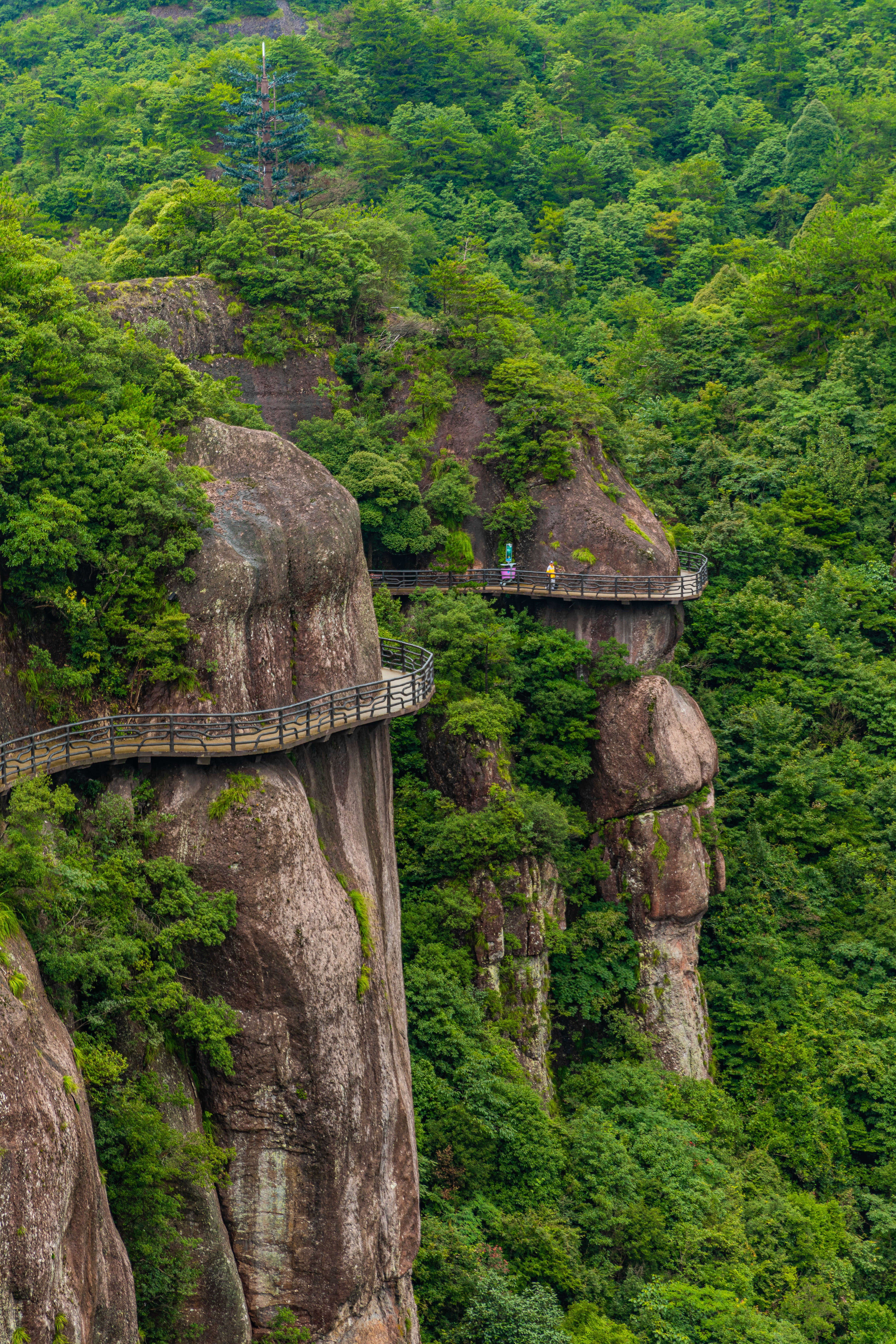 浙江台州神仙居一生必去的隐世秘境