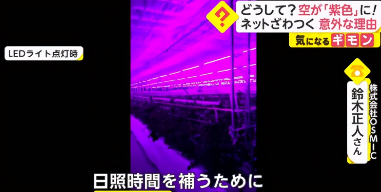 日本天空出現紫紅色，看著像動漫場景，知道產生原因後索然無味