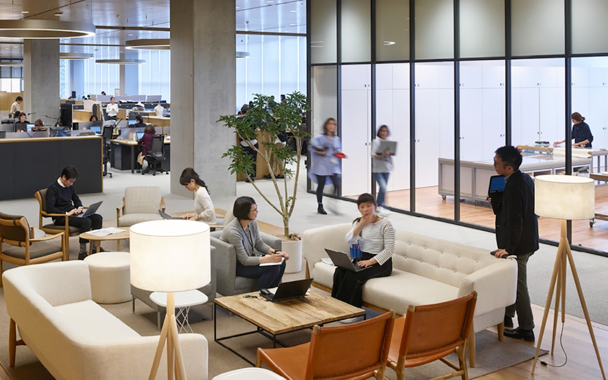 新品牌应如何开展网络营销？