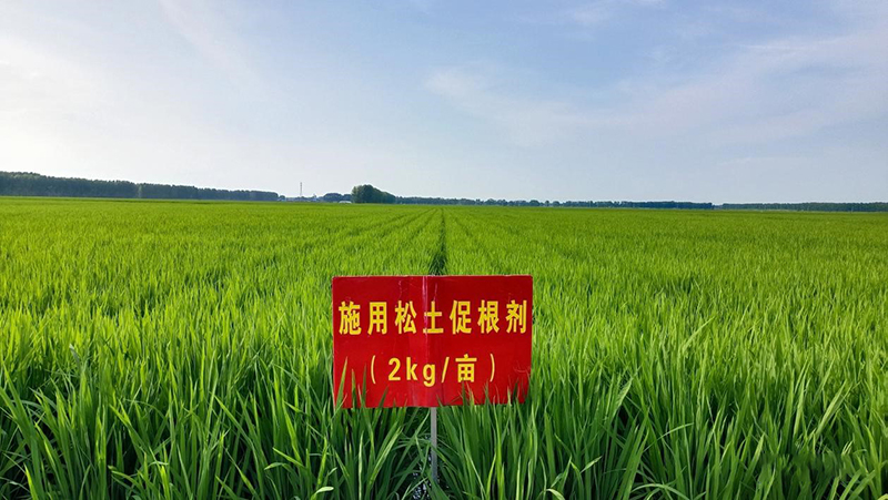 土壤改良有新法兒，松土促根土壤改良技術，助力構建健康疏松耕層
