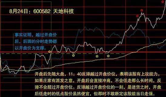 北大女博士罕见发声：如果有50万资金，高分红的