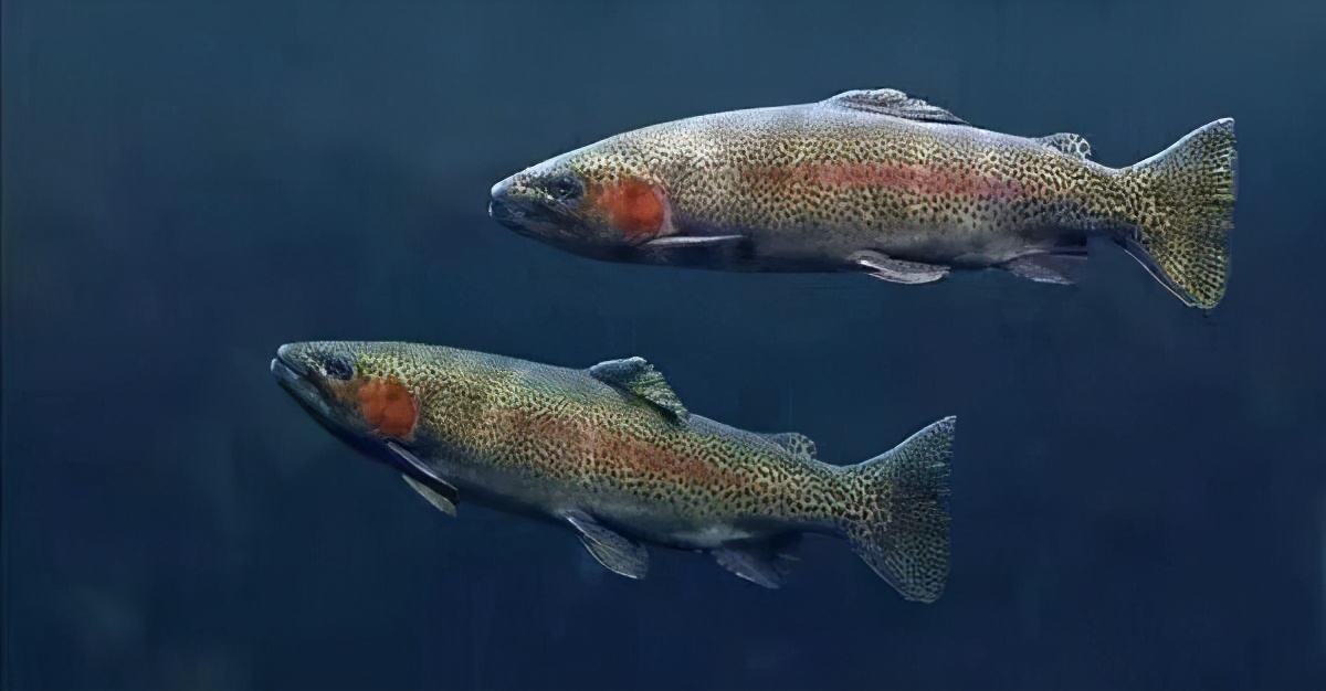 又想拉中國背鍋？ 南海放射性物質升高，菲律賓卻一口咬定是中方